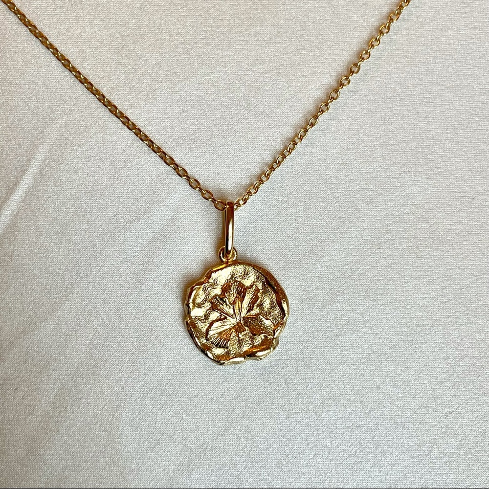 Mejuri Iris Medallion Necklace - Like New, Retired/Discontinued